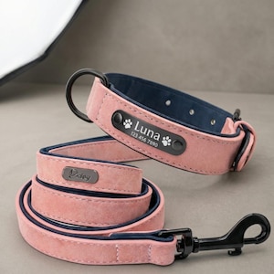 Op de afbeelding: Een roze suède hondenriem en bijpassende halsband. De halsband heeft een zwart naamplaatje met de naam "Luna", pootafdrukken en een telefoonnummer. De riem heeft een zwarte sluiting en een metalen label met het woord "Didog".