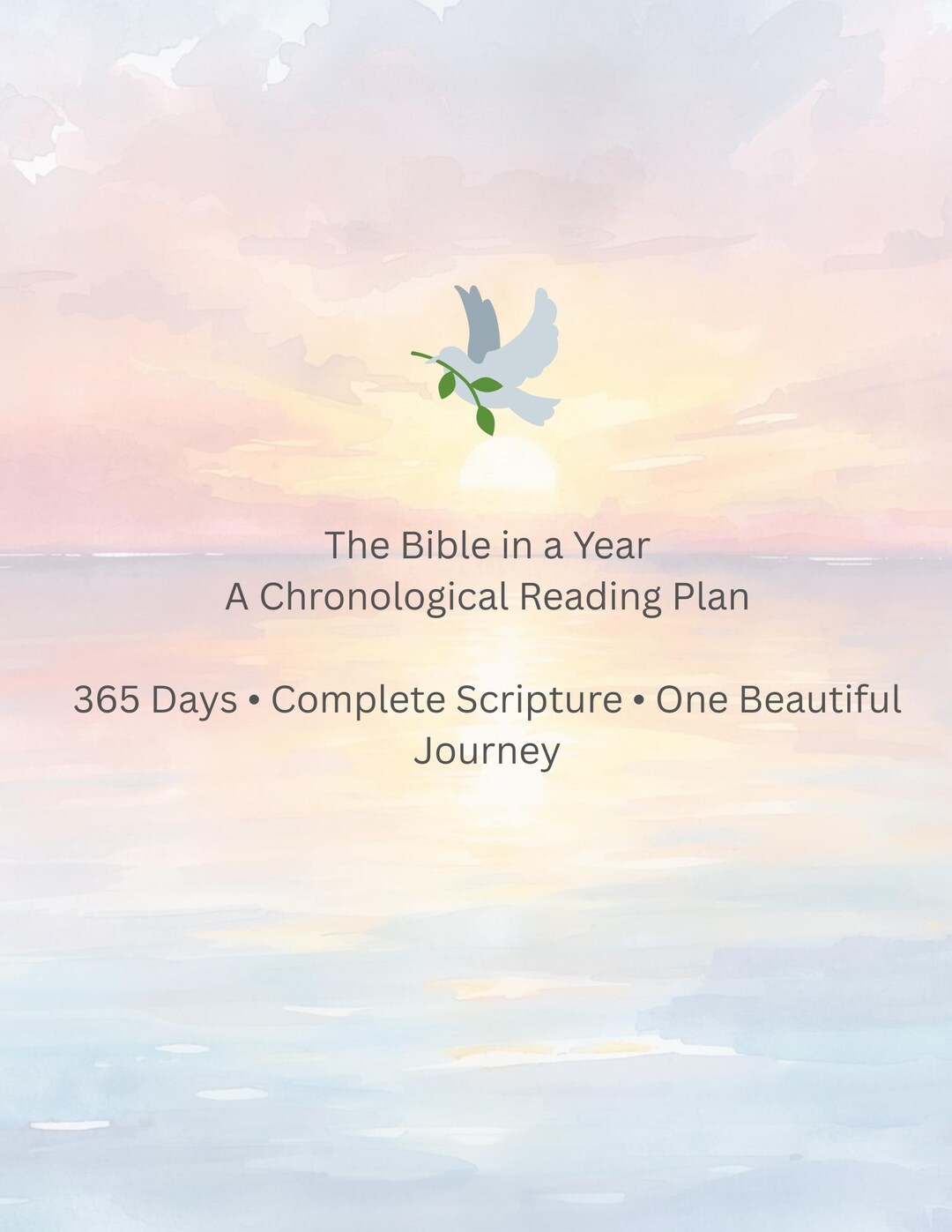 Bible in a Year Reading Plan Chronological Bible Reading Checklist 365 ...
