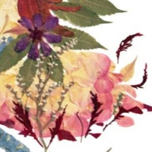 K&ouml;nnte beinhalten: Eine Sammlung gepresster Blumen und Bl&auml;tter in den Farben Rosa, Gelb, Blau, Lila und Rot. Die Blumen sind in einem zuf&auml;lligen Muster angeordnet und bilden ein wundersch&ouml;nes und nat&uuml;rliches Design.