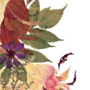 K&ouml;nnte beinhalten: Eine gepresste Blumenarrangement mit verschiedenen getrockneten Blumen und Bl&auml;ttern, darunter eine violette Blume, eine rosa Blume und ein rotes Blatt. Die Blumen sind in einem Kreis angeordnet und bilden ein wundersch&ouml;nes und zartes Design.