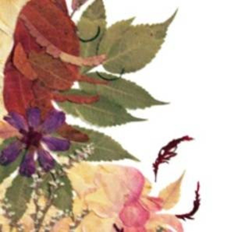 K&ouml;nnte beinhalten: Eine gepresste Blumenarrangement mit verschiedenen getrockneten Blumen und Bl&auml;ttern, darunter eine violette Blume, eine rosa Blume und ein rotes Blatt. Die Blumen sind in einem Kreis angeordnet und bilden ein wundersch&ouml;nes und zartes Design.