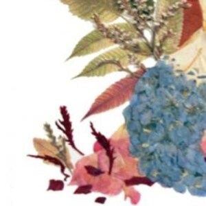 K&ouml;nnte beinhalten: Eine gepresste Blumenarrangement mit blauen Hortensien, rosa Bl&uuml;ten und burgunderfarbenen Bl&auml;ttern. Die Blumen sind in einer bouquetartigen Form angeordnet.