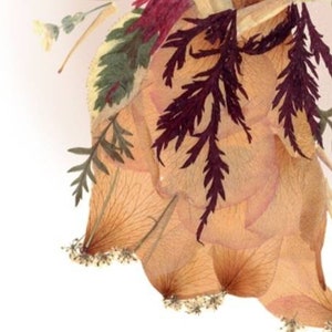 May include: A pressed flower arrangement featuring delicate, dried petals in shades of peach and cream, accented with burgundy-colored fern fronds.