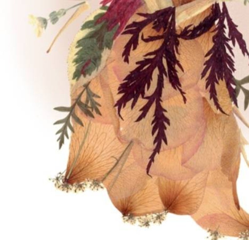 May include: A pressed flower arrangement featuring delicate, dried petals in shades of peach and cream, accented with burgundy-colored fern fronds.