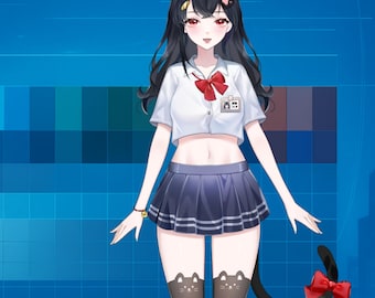 Live2D VTuber Model Female Avatar | Fully Rigged | VTube Studio Ready