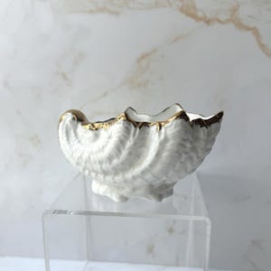 May include: A white ceramic seashell-shaped bowl with gold trim. The bowl has a textured, ridged surface and sits on a clear acrylic stand. The gold trim accents the edges of the bowl, adding a touch of elegance to the decorative piece.