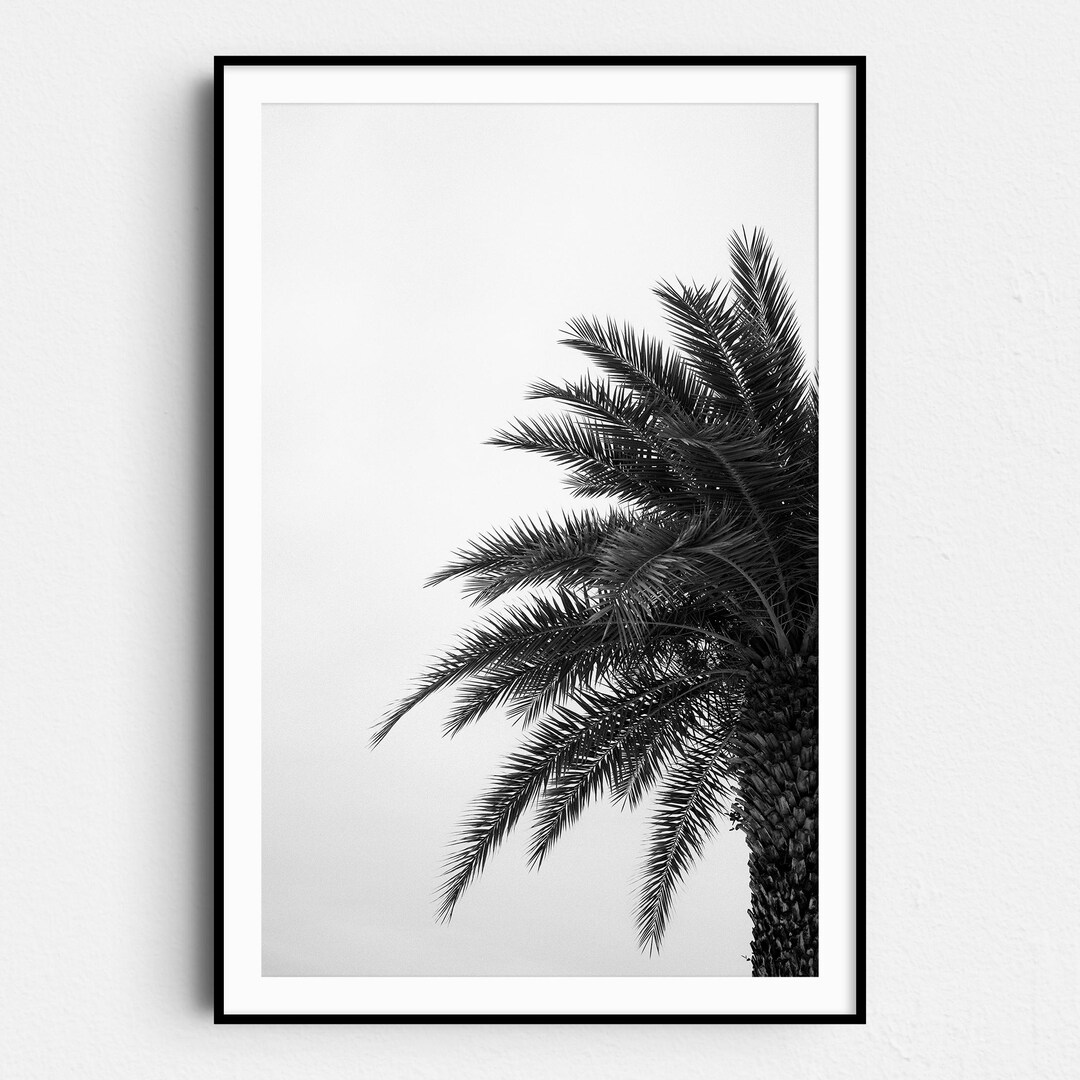Black and White Palm Tree Print | Minimal Coastal Photography Wall Art ...