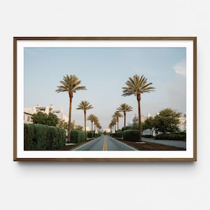 May include: A framed print featuring a scenic road lined with palm trees under a clear blue sky. The road is flanked by trimmed hedges and white buildings. The print has a brown wooden frame.