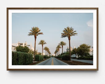 Palm Tree Wall Art for Beach House Living Room, Alys Beach 30A Florida Print, Neutral Coastal Decor for Bedroom