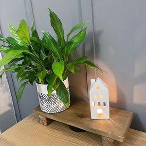 May include: A wooden plant stand holding a green leafy plant in a patterned pot and a white ceramic house-shaped candle holder. The candle holder has cut-out windows and a star design.