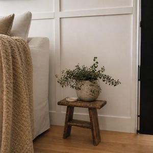 May include: A small, weathered wooden stool supports a textured, speckled grey pot filled with green foliage. A small white dish sits on the stool. The stool is on a wooden floor, with a beige rug in the foreground.