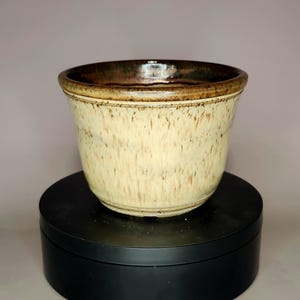 May include: A ceramic planter with a tapered cylindrical shape, featuring a cream-colored body with vertical brown speckles and a dark brown glazed rim. The vessel has a smooth, glossy finish and a slightly flared top edge, showcasing a handcrafted aesthetic.