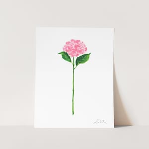 Art Print Single Stem Pink Hydrangea Bloom - Botanical Floral Illustration New England Preppy Watercolor Floral Minimalist