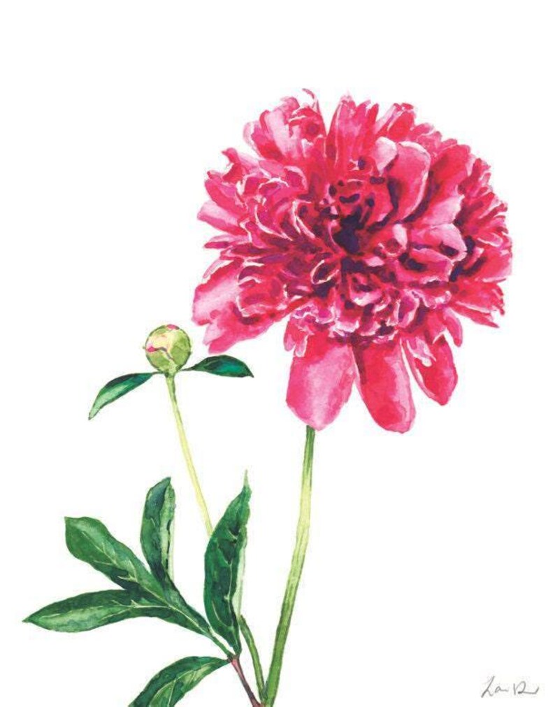 Pink Peony Art Print, Peony Watercolor Painting, Peonies Wall Decor, Pink Floral Home Decor, Botanical Illustration, Bright Southern Preppy immagine 6
