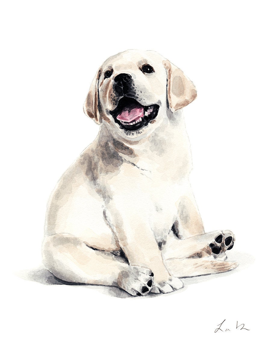 Yellow Labrador Retriever Dog Art Print, Yellow Lab Puppy Watercolor, Dog  Painting, Dog Nursery Decor, Dog Lover Gift, Dog Owner Gift - Etsy