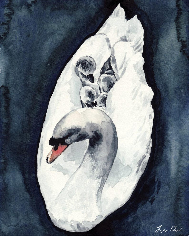 Swan Family Art Print, Motherhood Watercolor, Mother and Baby Birds Art, Whimsical Animal Nursery Painting, Baby Shower Keepsake Gift immagine 4