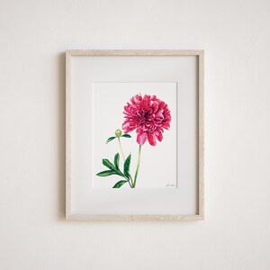 Pink Peony Art Print, Peony Watercolor Painting, Peonies Wall Decor, Pink Floral Home Decor, Botanical Illustration, Bright Southern Preppy immagine 4
