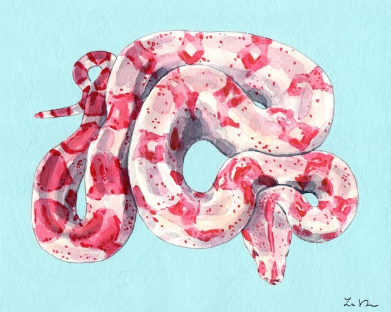 komfort plads sammensmeltning Pink Pattern Snake on Blue Giclee Art Print Watercolor | Etsy