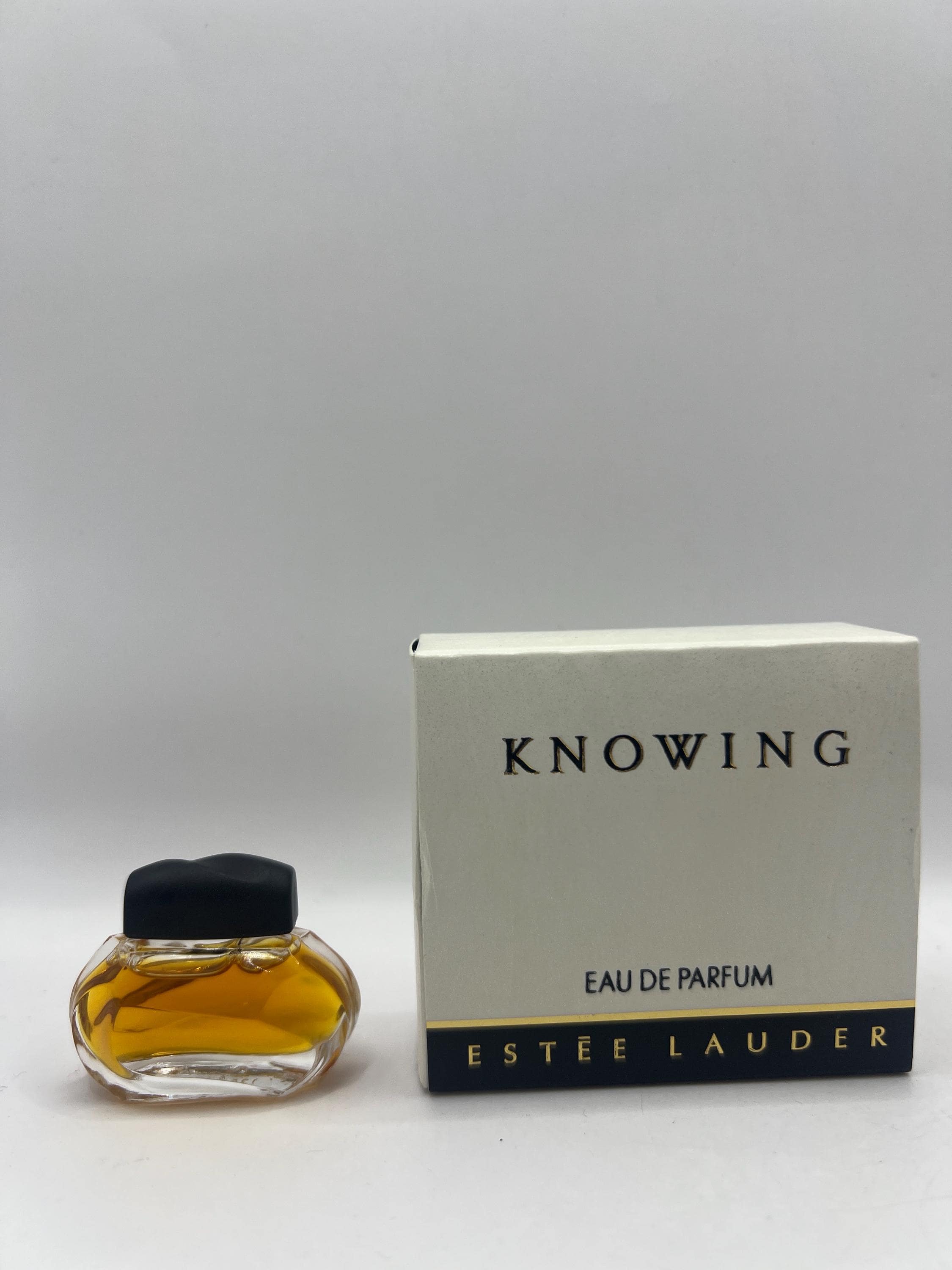 Minaudière Estee Lauder 1996/97 - Boîtes à Parfum Solide Knowing Et Beautiful - Collector - Occasion Entamé