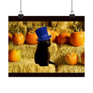 Black Kitten with Top Hat poster | Matte Horizontal Poster, Pumpkin Patch Autumn