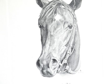 Vintage Spectacular Bid Race Horse Print –  by Tunell  1979 Kentucky Derby