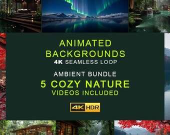 5 Cozy Nature & Jungle Ambient Background Videos – 4K Seamless Loop Ambience Clips (Digital Download)
