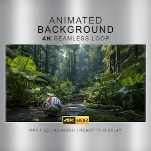 Natur- och djungelmiljövideo – Mexikansk Tulumdjungel, 4K sömlös loop (digital nedladdning)