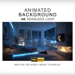Vidéo d'ambiance Penthouse Cat – Clips d'ambiance en boucle sans interruption 4K (Téléchargement numérique)