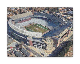 AL-Tuscaloosa College Football Stadium Canvas Painting
