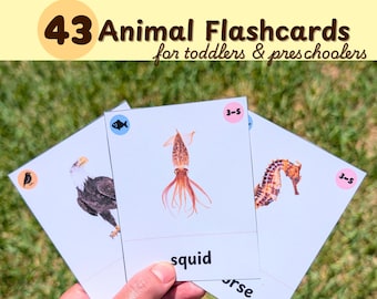 43 Animal Flashcards for Preschoolers – Montessori Educational Preschool Animal Vocabulary Nature Learning Cards Material PDF Printable