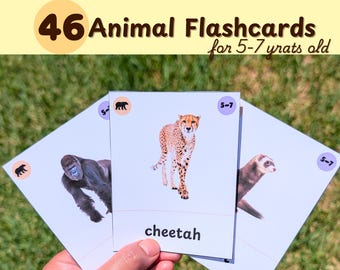 46 Animal Flashcards for Kindergartener & Year 1 – Montessori Educational Preschool Animal Vocabulary Nature Learning Cards Material PDF