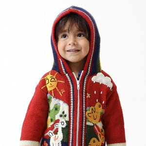 May include: A red hooded zip-up sweater with colorful embroidered designs. The sweater features a sun, cloud, and animal motifs. The hood and cuffs have striped detailing. The sweater is worn by a child.