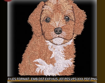 Diseño de bordado Goldendoodle, patrón de bordado a máquina de cara de cachorro, archivo de puntada de mascota digitalizado manualmente, pes dst exp jef hus vp3 xxx emb