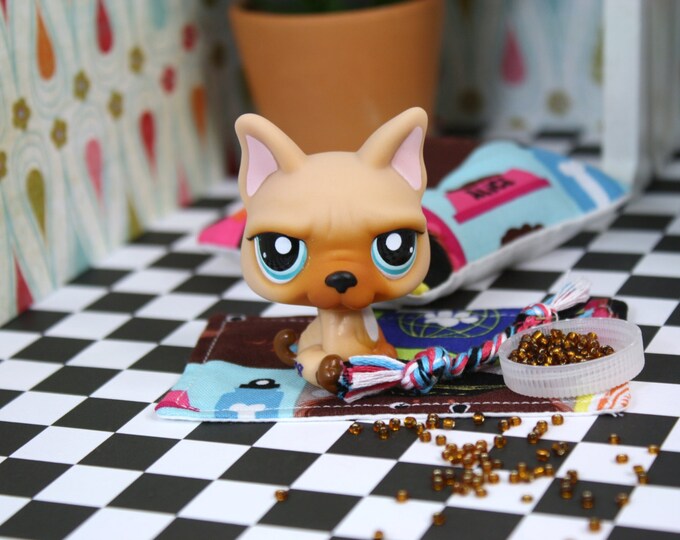 Doll Pet Accessories Set for LPS Barbie Fashion Royalty Etsy