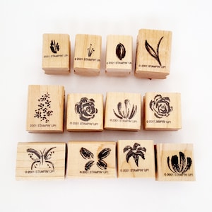 Stampin Up Minis aquarela em duas etapas, carimbo aposentado, Stampin' Up! Aposentado, Mini Carimbos, Carimbo de Borracha Minis Aquarela, Carimbo de Borracha Destash
