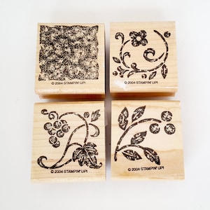 Gespikkelde Stencils stempels, Stampin'Up in twee stappen Stampin' gespikkelde Stencils, voormalig Stamps, stempel van de bloem, wijnstok stempel, Destash postzegels