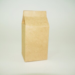 Puede incluir: Una bolsa de papel marr&oacute;n con una parte superior plegable. La bolsa est&aacute; vac&iacute;a y tiene una superficie lisa, sin imprimir.