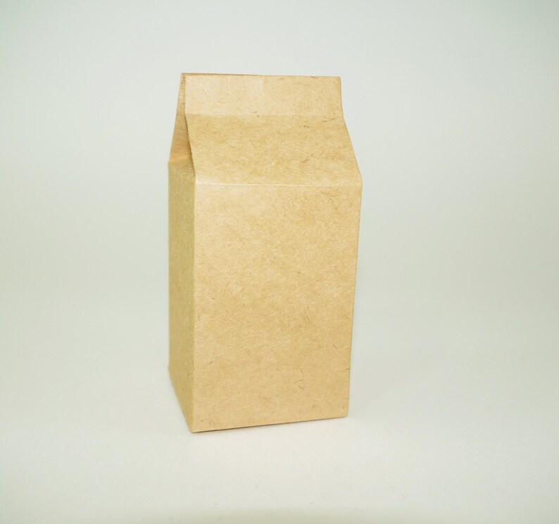 Puede incluir: Una bolsa de papel marr&oacute;n con una parte superior plegable. La bolsa est&aacute; vac&iacute;a y tiene una superficie lisa, sin imprimir.