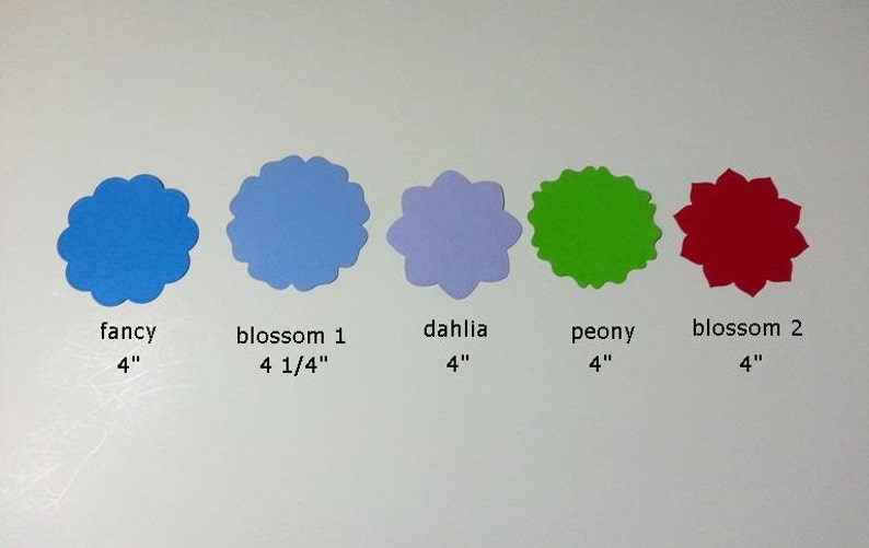 Pode incluir: Cinco formas diferentes de flores de papel em v&aacute;rias cores, incluindo azul, azul claro, roxo, verde e vermelho. Cada flor &eacute; etiquetada com seu nome e tamanho em polegadas. As flores est&atilde;o dispostas em uma fila da esquerda para a direita.