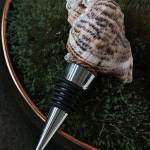 May include: A bottle stopper with a seashell design. The shell has brown and white stripes and is decorated with small white pearls. It has a silver metal base and a black rubber seal. The shell is attached with natural rope.