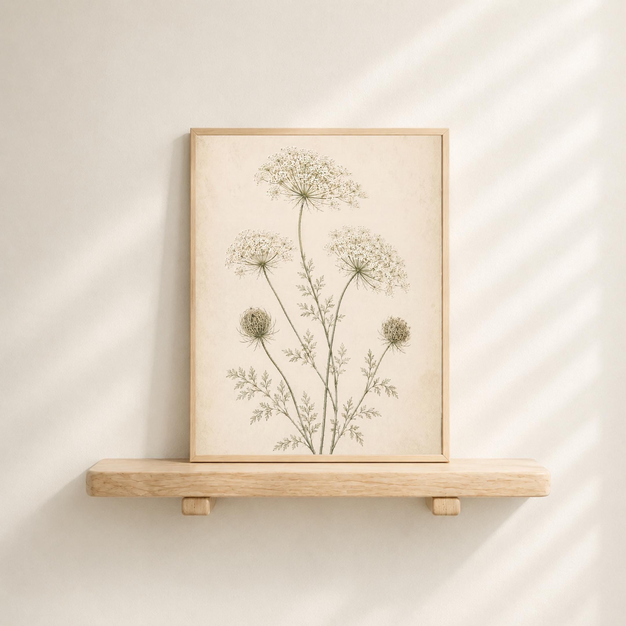 Queen Annes Lace Print, Vintage Botanical Prints, Neutral Floral Wall Art (Digital Download) — image 3