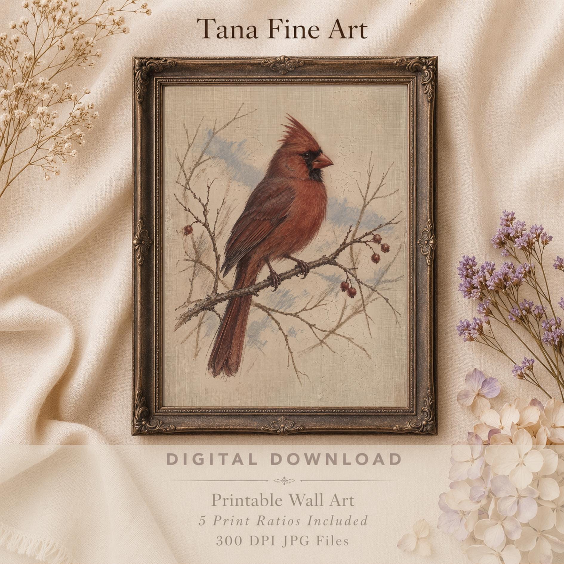 Red Cardinal on a Winter Branch