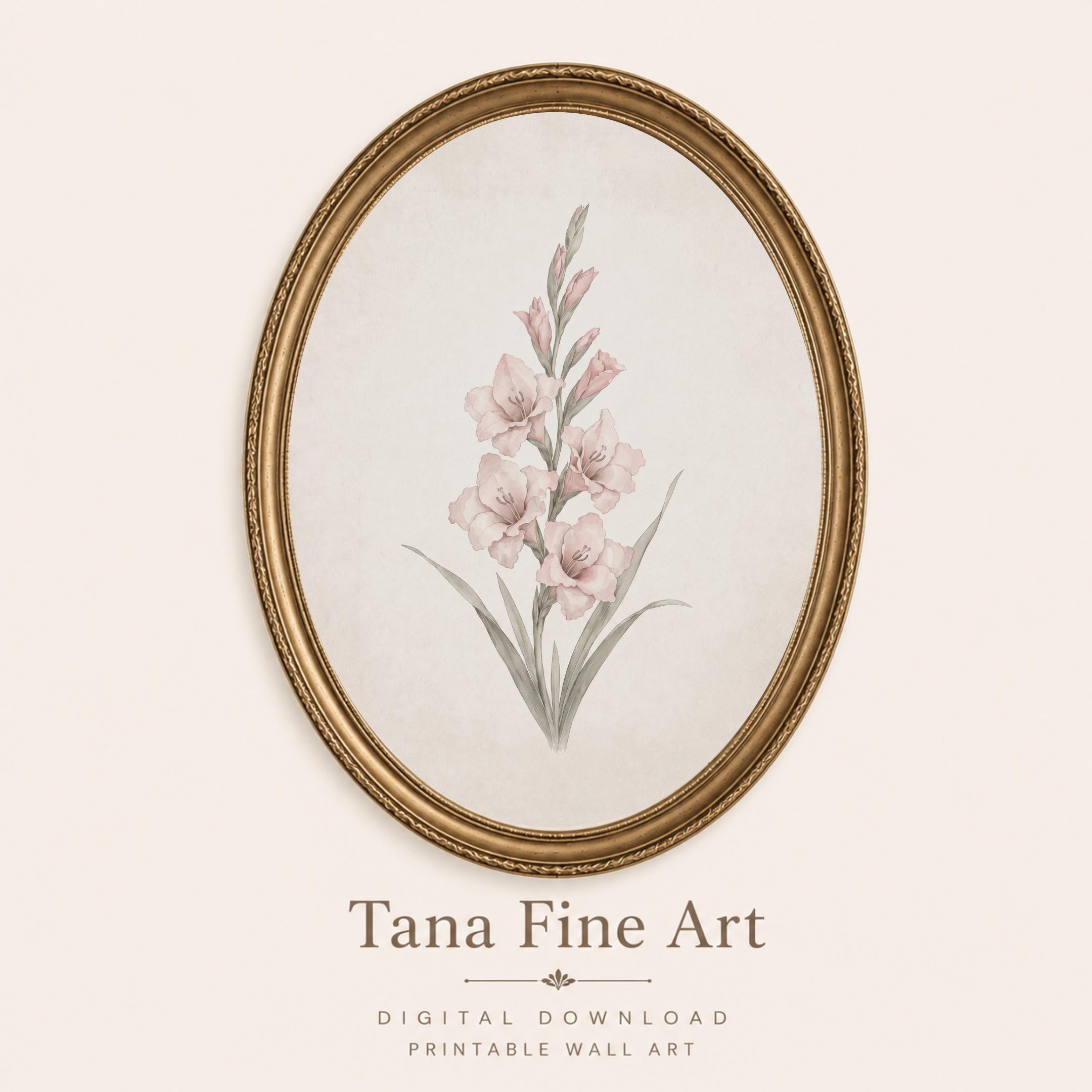 August Birth Flower Print Art, Pink Gladiolus Botanical, Floral Vintage Botanical Prints (Digital Download)
