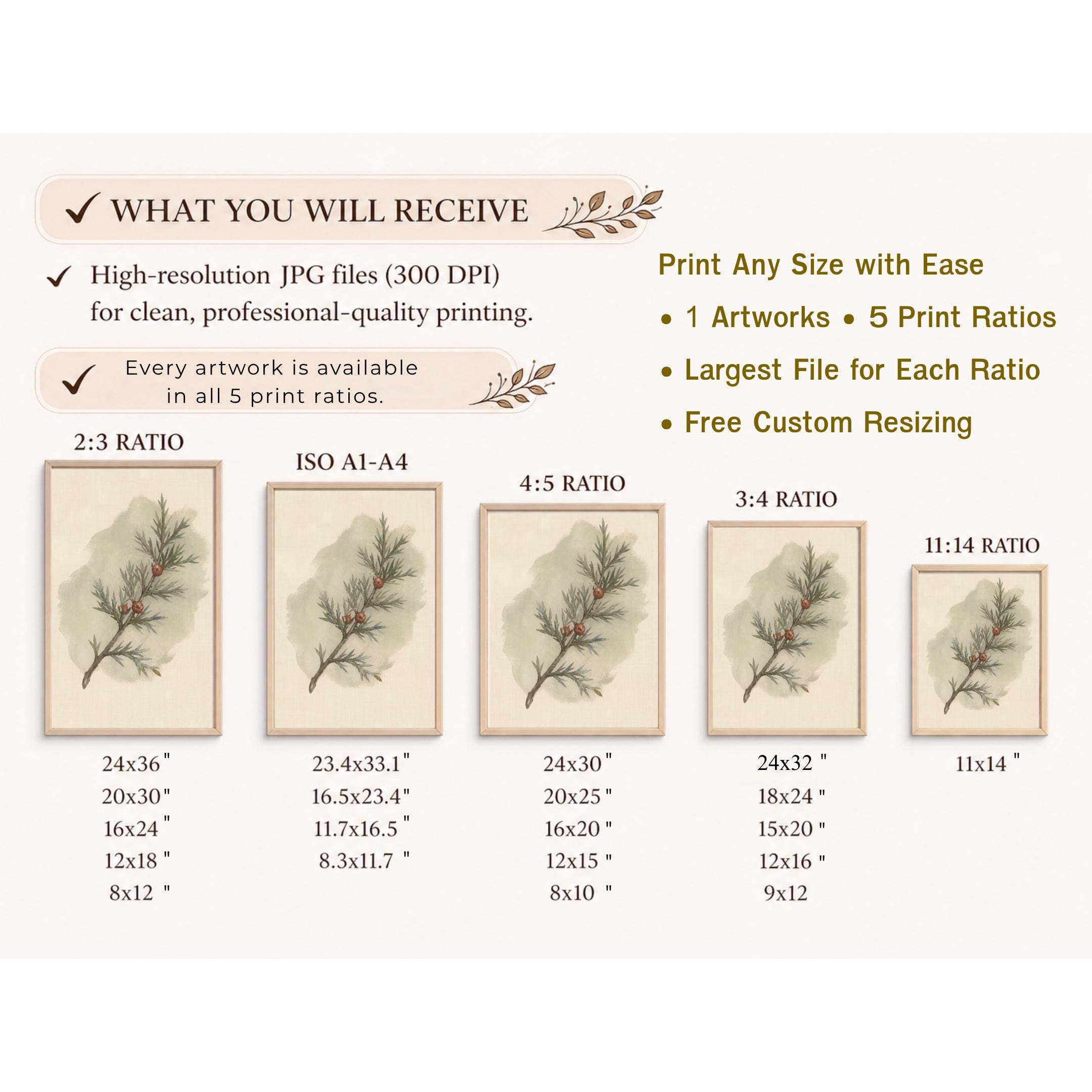 Winter Botanical Wall Art | Evergreen Branch Print | Vintage Nature Digital Download — image 8