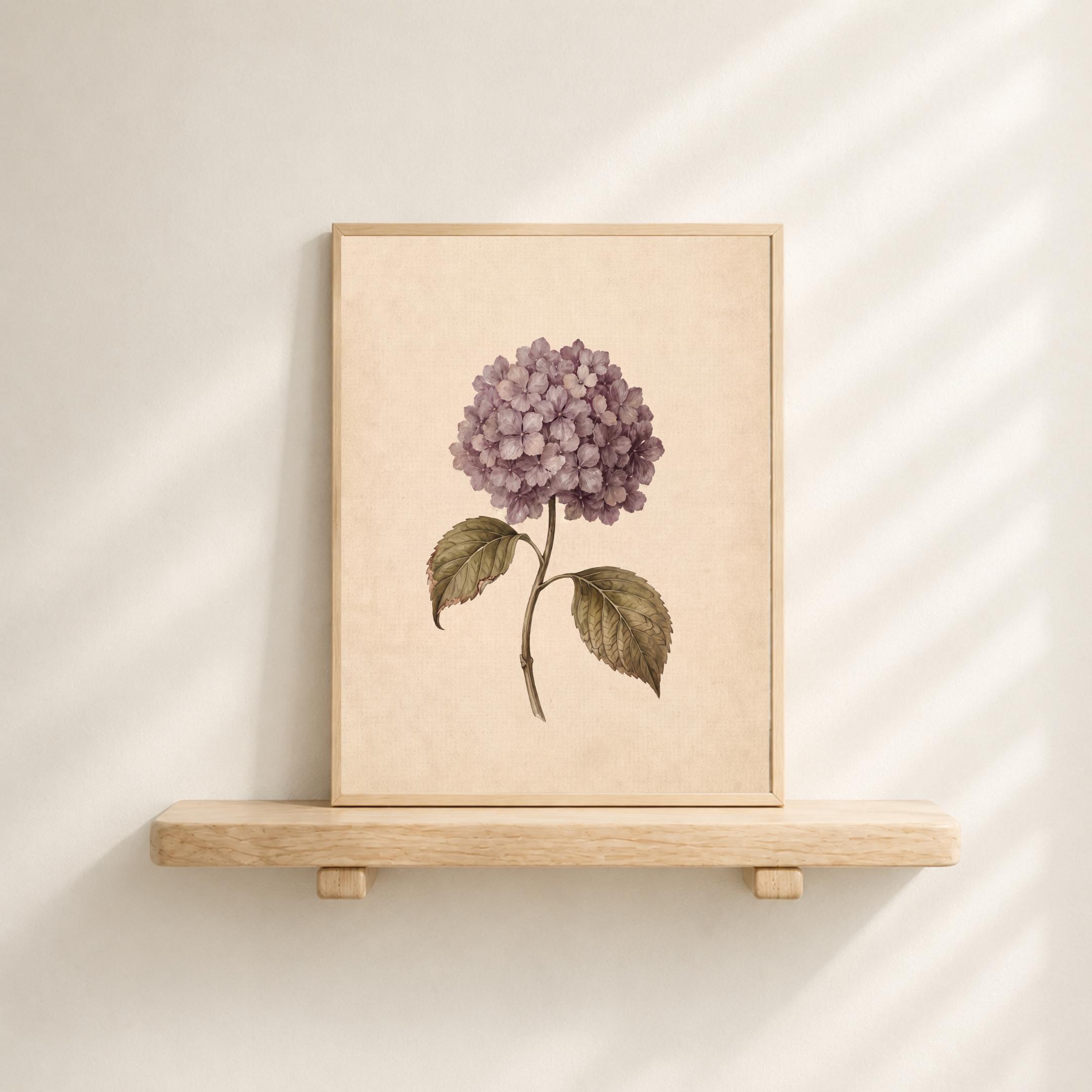 Fall Hydrangea Printable Wall Art | Mauve Floral Print | Vintage Botanical Decor Digital Download — image 5