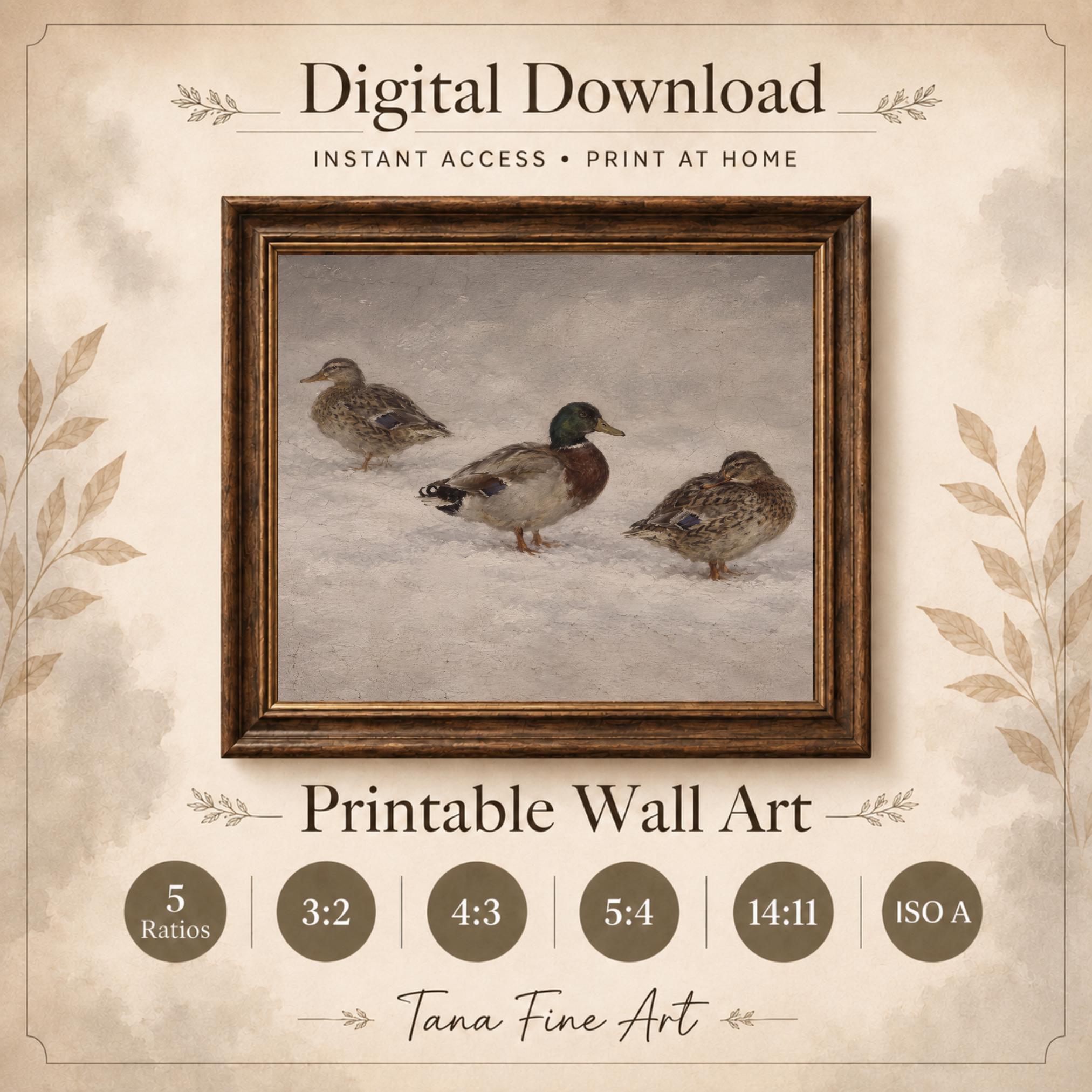 Three Mallards on the Snow — image 7