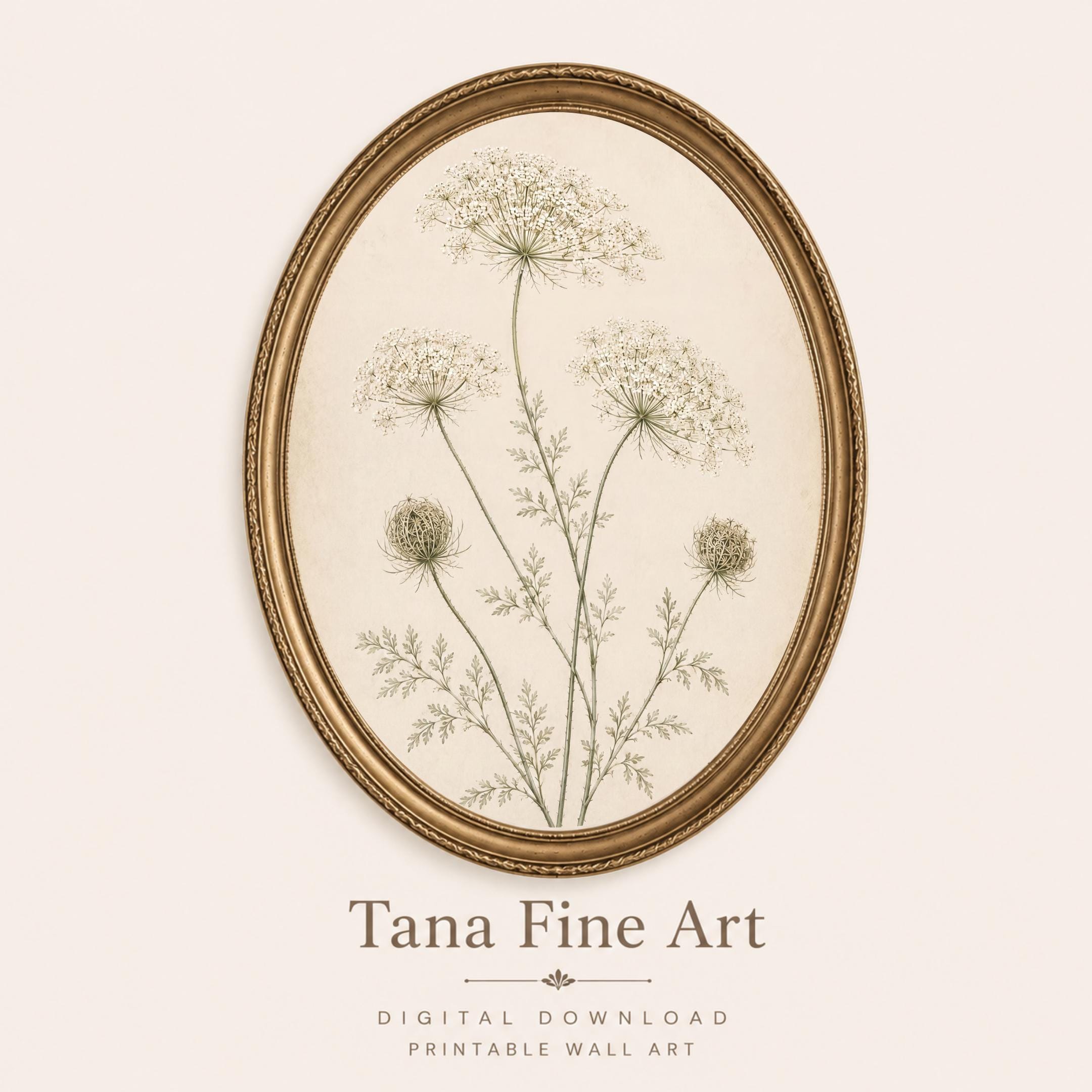 Queen Annes Lace Print, Vintage Botanical Prints, Neutral Floral Wall Art (Digital Download)