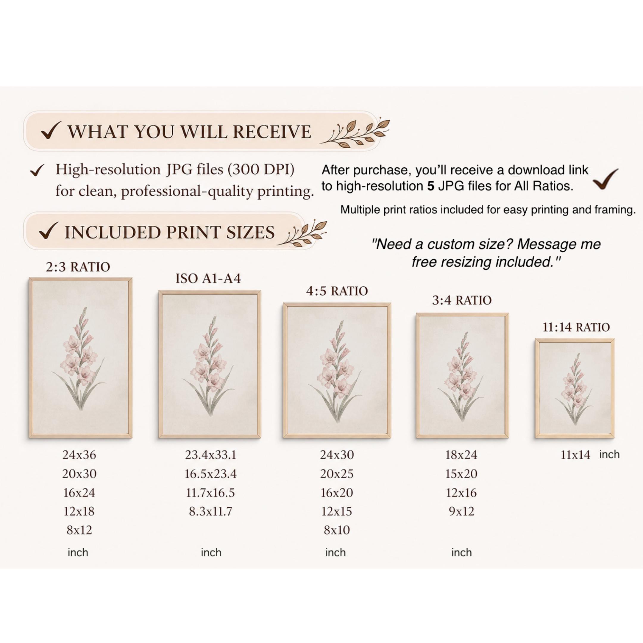 August Birth Flower Print Art, Pink Gladiolus Botanical, Floral Vintage Botanical Prints (Digital Download) — image 9