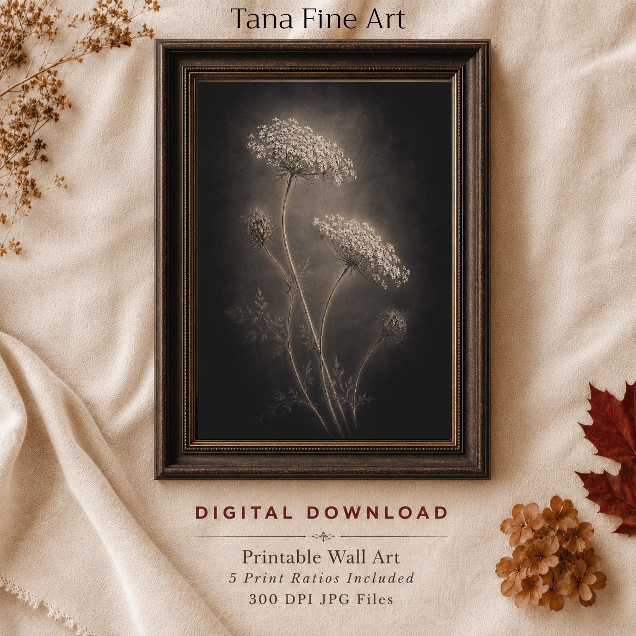 Queen Annes Lace Wall Art, Dark Floral Still Life, Moody Botanical Prints (Digital Download)