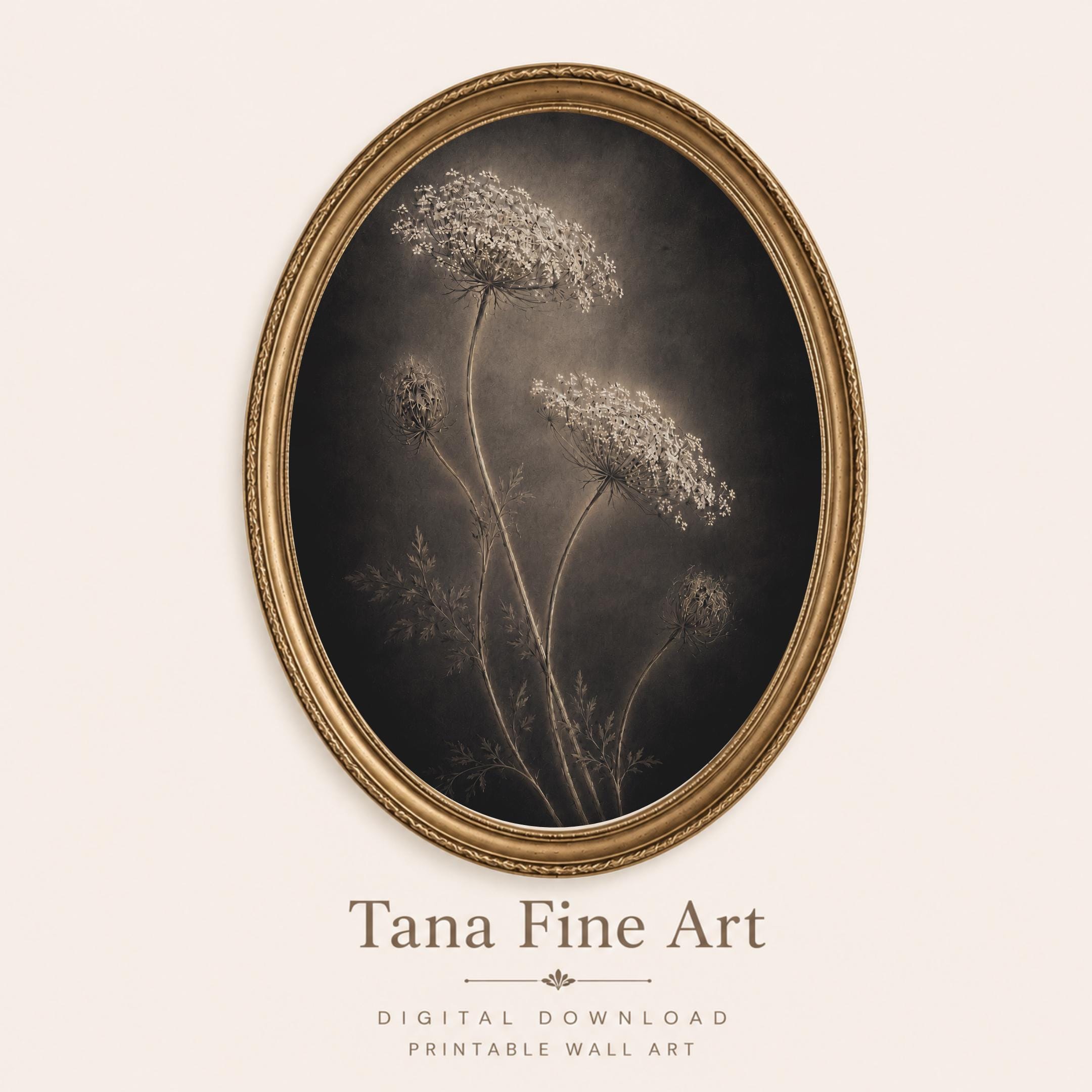 Queen Annes Lace Wall Art, Dark Floral Still Life, Moody Botanical Prints (Digital Download) — image 4